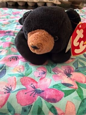 Ty Blackie Black Plush Bear with Brown Snout